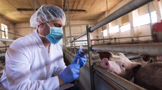 Bővül az antibiotikum-jelentési kötelezettség