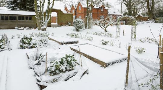 Használd ki ezeket a napokat! Ezektől a kártevőktől szabadíthatja meg a kertedet a fagy, ha teszel érte! Használd ki ezeket a napokat! Ezektől a kártevőktől szabadíthatja meg a kertedet a fagy, ha teszel érte!