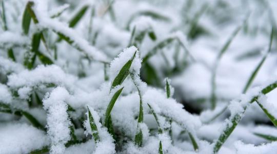 Hó alatt a remény: mit ér ma a hótakaró a mezőgazdaságban?