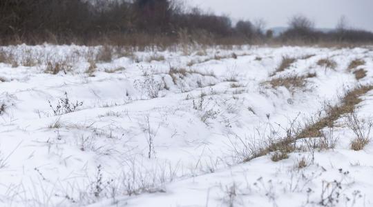 200 milliós fejlesztés indul az Őrség Natura 2000 területein