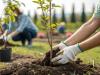 Újra fákat ültet az ország: jön a Nemzeti Faültetés Napja 2026