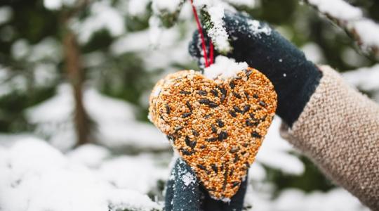 Te is eteted a madarakat? Akkor erre vigyázz, mert nagy bajt okozhatsz!