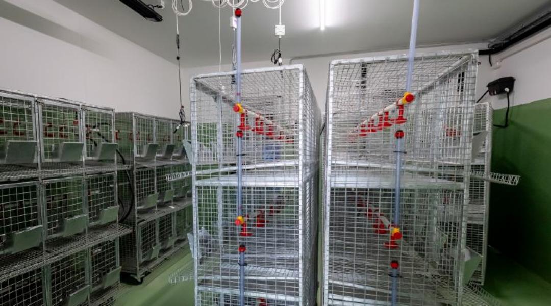 Aki ezt nem érti, lemarad az állattenyésztésben