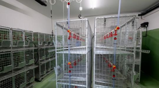 Aki ezt nem érti, lemarad az állattenyésztésben