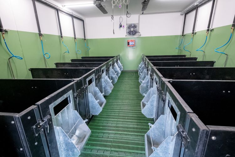 precíziós gazdálkodás