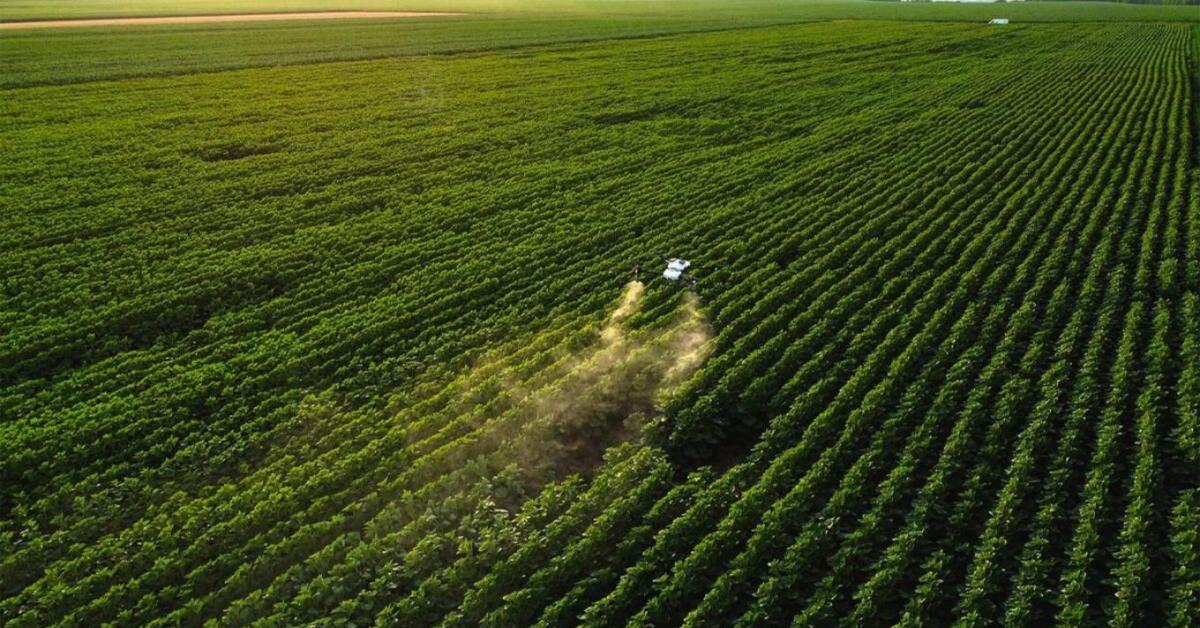 Permetezéstől az ipari tisztításig: sokoldalú drónmegoldások Magyarországról
