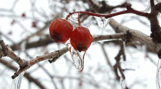 Időjárás: Vigyázz! Csúszni fog! + VIDEÓ