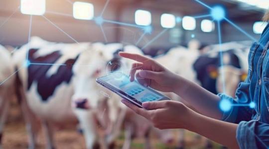 Nemzetközi agrárkiállítás Hollandiában