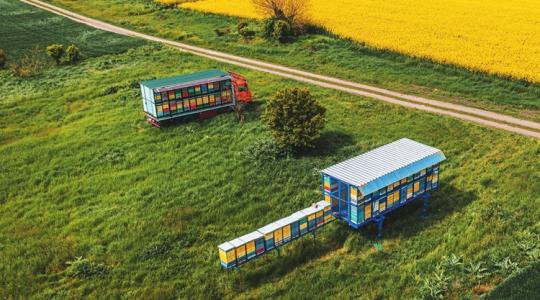 Méhészeti támogatás 2026: így igényelhető a csekély összegű segítség