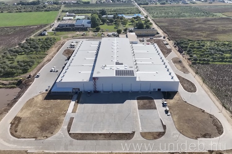 gyümölcs gyümölcs