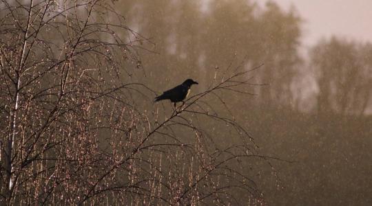 Időjárás: Örülhet, akinek csak szürkeség jut, a pechesebbek csúszkálhatnak +VIDEÓ Időjárás: Örülhet, akinek csak szürkeség jut, a pechesebbek csúszkálhatnak +VIDEÓ