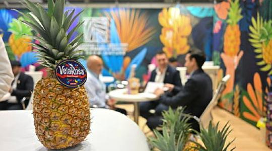 Fruit Logistica 2026 – a nemzetközi frisstermék-ipar világvezető szakvására 