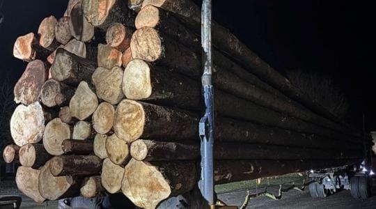 Hozzák-viszik a faanyagot: északon fittyet hánynak a súlyhatárra Hozzák-viszik a faanyagot: északon fittyet hánynak a súlyhatárra