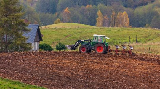 Nem finomkodnak a lengyelek: köteleznék a szupermarketeket a helyi termék árusítására Nem finomkodnak a lengyelek: köteleznék a szupermarketeket a helyi termék árusítására