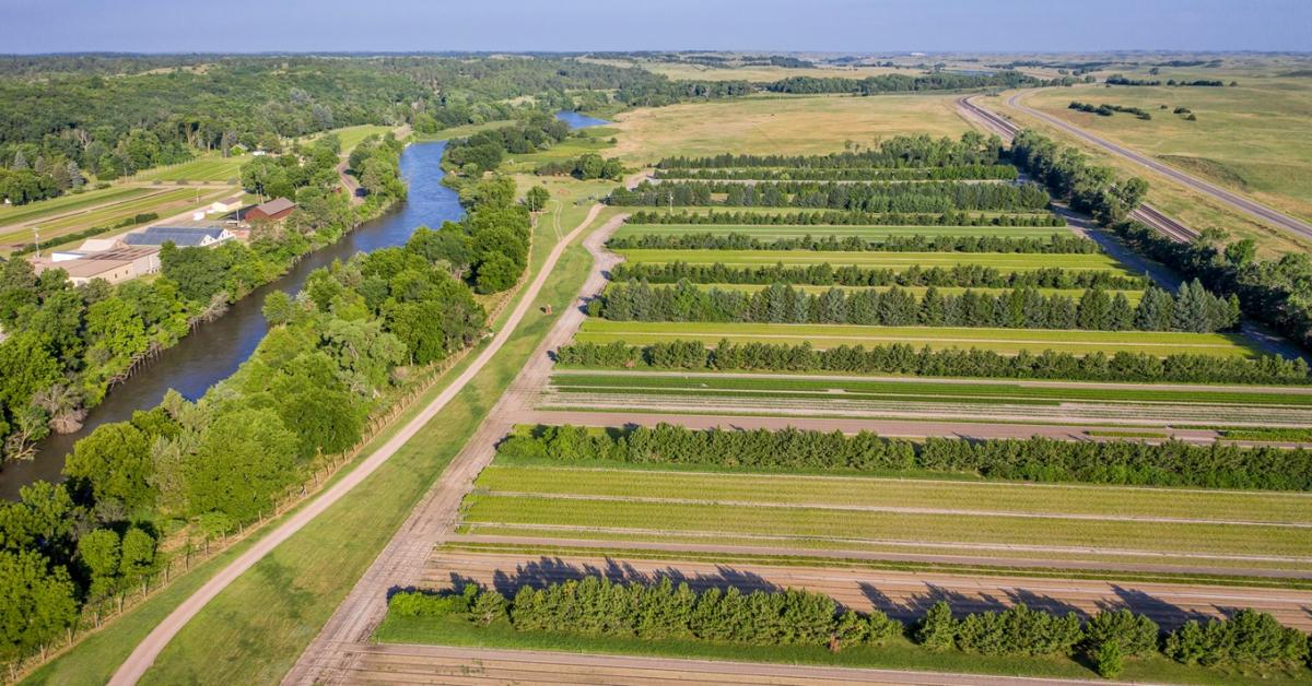 "Keresd a lehetőségeket, de készülj a kudarcra" "Keresd a lehetőségeket, de készülj a kudarcra"