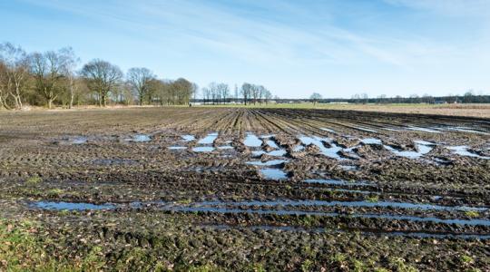 3 napos időjárás: Gyarapodnak azok a milliméterek!
