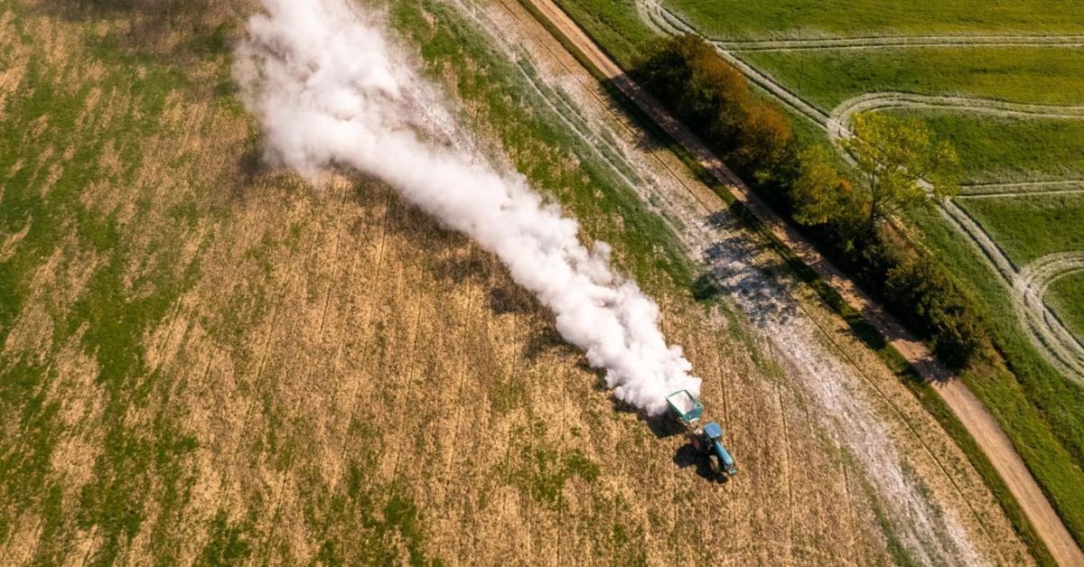 A németek már tudják – követhetnénk őket