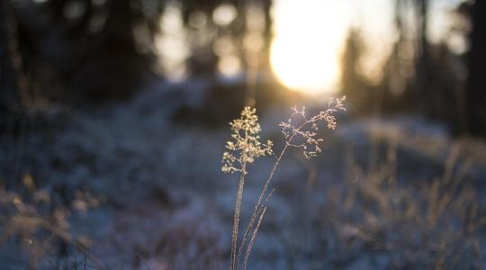 Időjárás: Köd és ónos szitálás, mutatjuk, hol melyik! +VIDEÓ