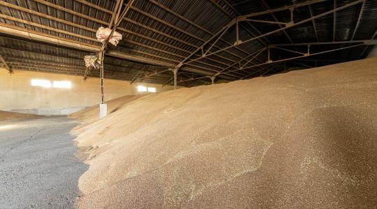 Állami kárrendezés a BÁSZNA-ügyben – a Kamara segít a gazdáknak