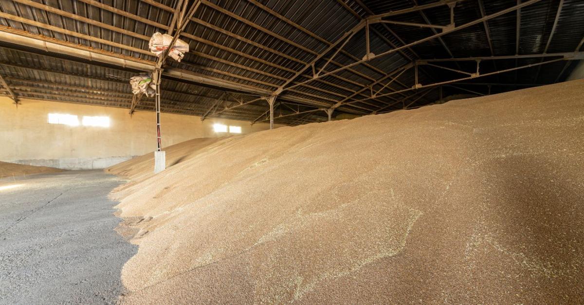 Állami kárrendezés a BÁSZNA-ügyben – a Kamara segít a gazdáknak