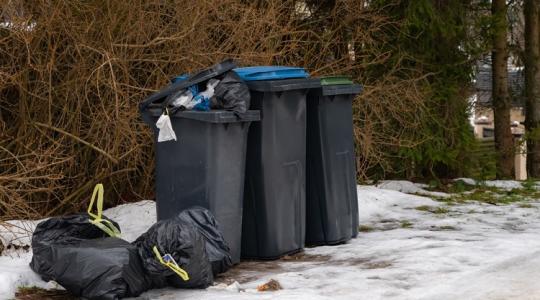 Veszélyben van a kukád! Így előzheted meg a bajt!