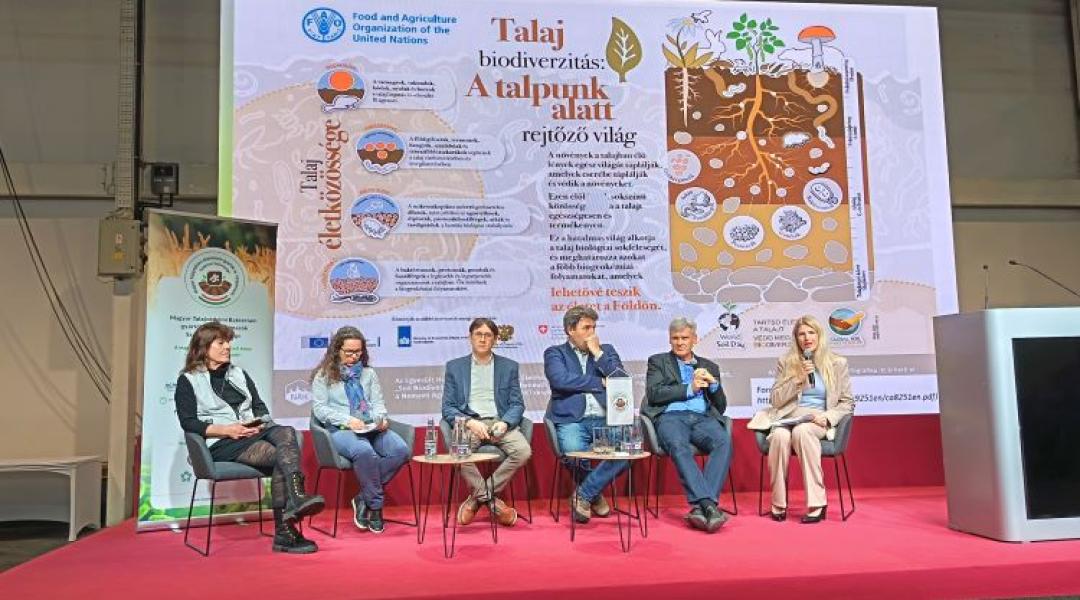 Ez minden gazdát érint: amit most elmulasztasz, később megbosszulja magát