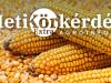 Rugalmas kukoricahibridek: miért fontosak a termesztésben? – Heti Körkérdés Extra
