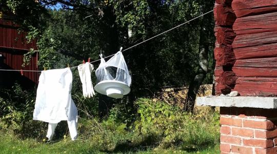 Eltűntek a nagy játékosok, új arcát mutatta ez az ágazat Eltűntek a nagy játékosok, új arcát mutatta ez az ágazat
