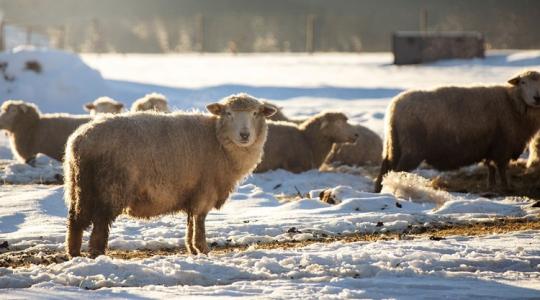 3 napos időjárás: Unod a nyirkos időt? Így fordulunk rá a hétvégére! 3 napos időjárás: Unod a nyirkos időt? Így fordulunk rá a hétvégére!