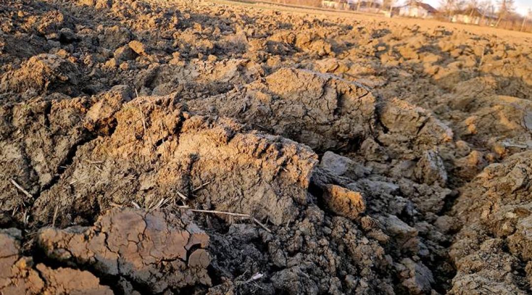 Végre esik, ez mégsem mindenhol segítség