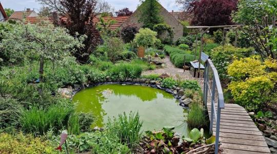 Kertinspirációk kiállítása több németországi helyszínen