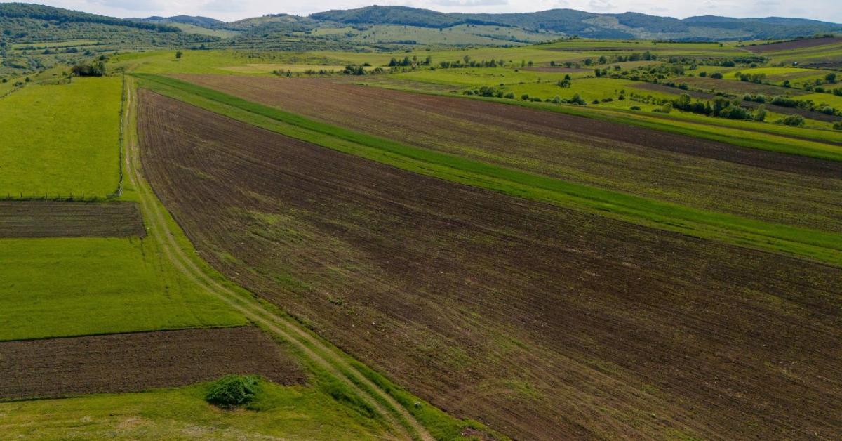 Hihetetlen, de igaz: a nem termelő terület most pénzt hoz