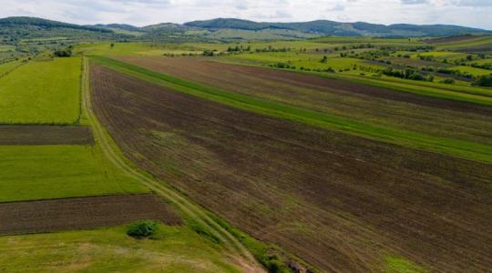 Hihetetlen, de igaz: a nem termelő terület most pénzt hoz Hihetetlen, de igaz: a nem termelő terület most pénzt hoz