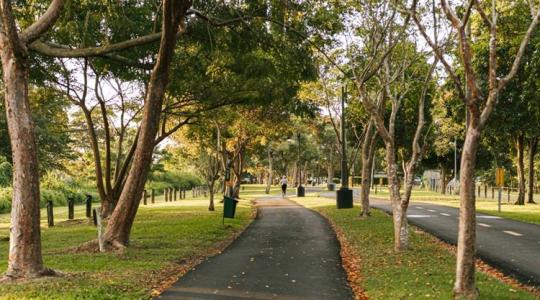 Ezért veszélyes a városi talaj lassú pusztulása Ezért veszélyes a városi talaj lassú pusztulása