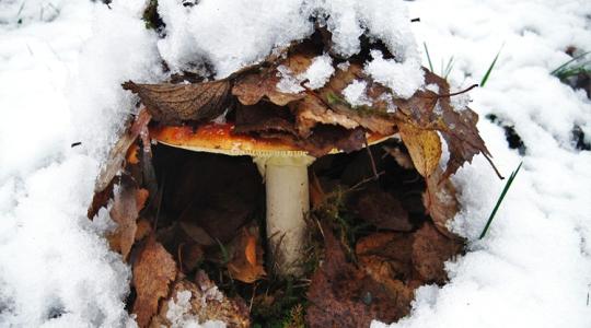 3 napos időjárás: Vigyázz, olyan idő jön, amikor párásodik, penészedik minden