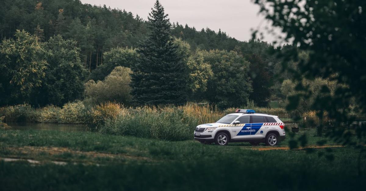 Illegális agancsgyűjtés: razziák indulnak a SEFAG területein Illegális agancsgyűjtés: razziák indulnak a SEFAG területein