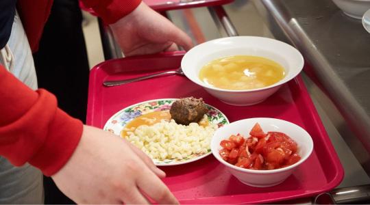 Döntött a Nébih és a KÖZSZÖV: Ezek a hazai alapanyagok hódítják meg a menzákat Döntött a Nébih és a KÖZSZÖV: Ezek a hazai alapanyagok hódítják meg a menzákat