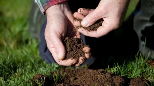A talaj színe mint egészségmutató: olcsó, gyors, szemléletes eszköz a gazdáknak A talaj színe mint egészségmutató: olcsó, gyors, szemléletes eszköz a gazdáknak