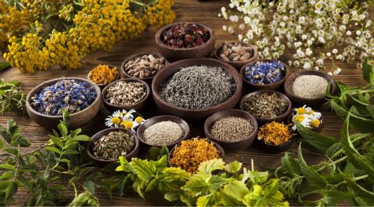 30 ezer hektárnyi lehetőség: A gyógynövénytermesztés lehet az új kitörési pont?