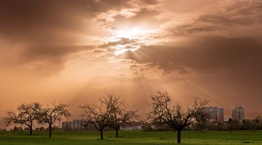 3000 kilométert utazott, és most a magyar szántóföldek felett van: mi az? 3000 kilométert utazott, és most a magyar szántóföldek felett van: mi az?