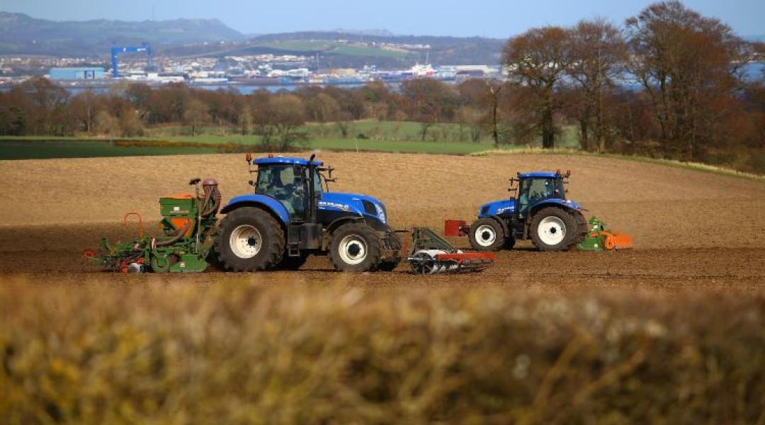 A vetés nem ismer kegyelmet: Miért ezen az egy napon dől el az egész évi profit?