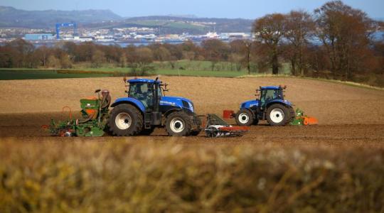 A vetés nem ismer kegyelmet: Miért ezen az egy napon dől el az egész évi profit? A vetés nem ismer kegyelmet: Miért ezen az egy napon dől el az egész évi profit?