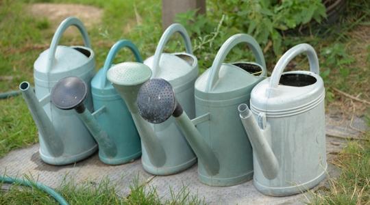 A leggyakoribb túlöntözési hibák tél végén – és a biztos megoldás