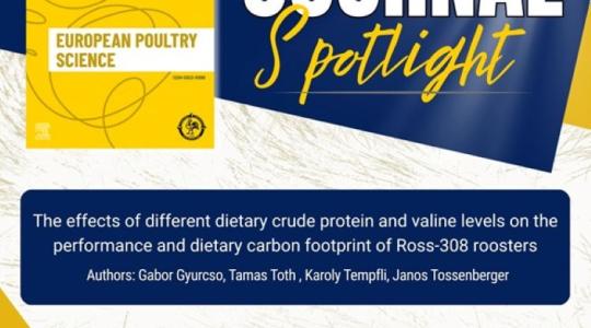 Magyar tudás lett Európa legjobbja: Világra szóló siker az óvári baromfi-kutatásban Magyar tudás lett Európa legjobbja: Világra szóló siker az óvári baromfi-kutatásban