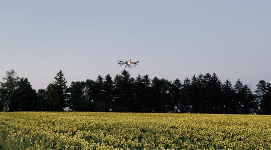 Tápanyag vagy növényvédő szer? 