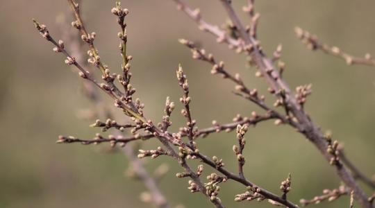 3 napos előrejelzés: Ne tévesszen meg a nappali meleg, csak mézesmadzag 3 napos előrejelzés: Ne tévesszen meg a nappali meleg, csak mézesmadzag