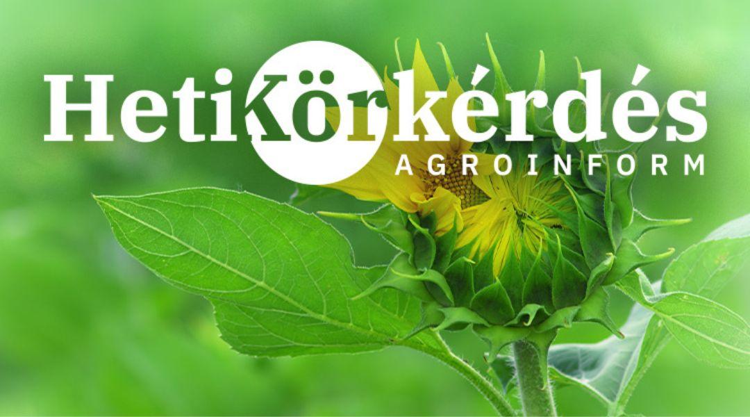 Demókísérletekkel bizonyított hatékonyság a biostimulátorok piacán – Heti Körkérdés