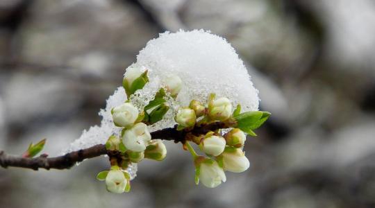 Eldőlt a kárenyhítés sorsa: Ez vár a gazdákra március közepétől