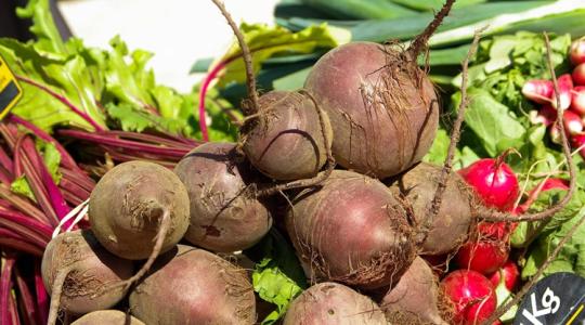 Ömlik a cékla a piacra, fejvesztve ürítik az ukrán raktárakat Ömlik a cékla a piacra, fejvesztve ürítik az ukrán raktárakat