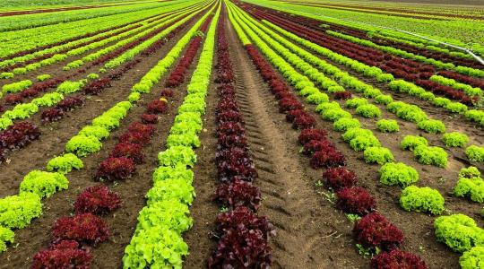 Kieshet az európai piacról, aki nem méri a környezeti lábnyomát: jön az egységes zöld-pontszám Kieshet az európai piacról, aki nem méri a környezeti lábnyomát: jön az egységes zöld-pontszám